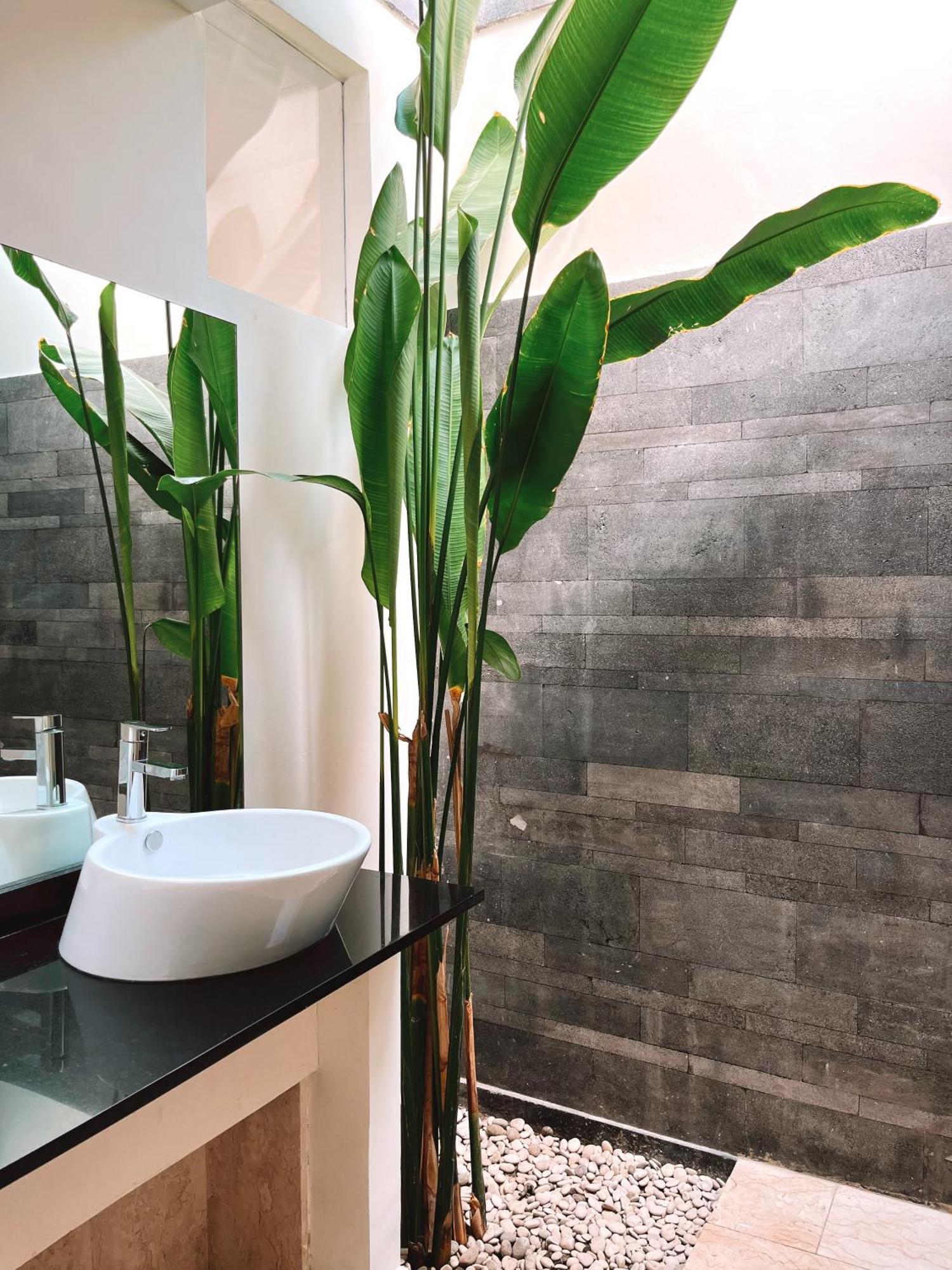 Aster Villa Seminyak 외부 사진